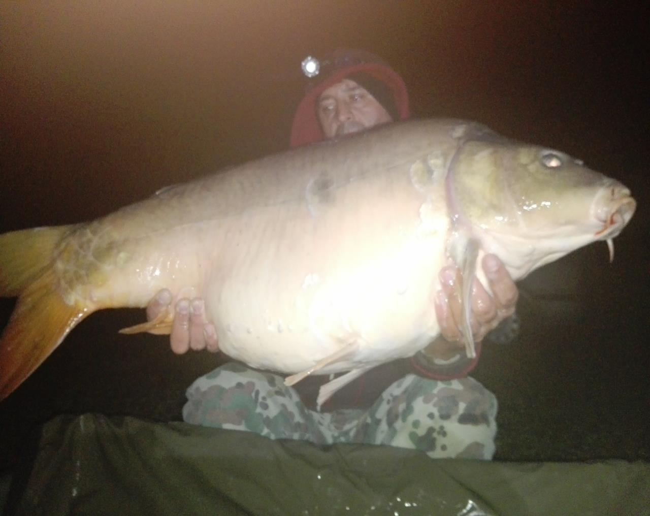 1-5 Octombrie Cetariu - img1475543629133.jpg